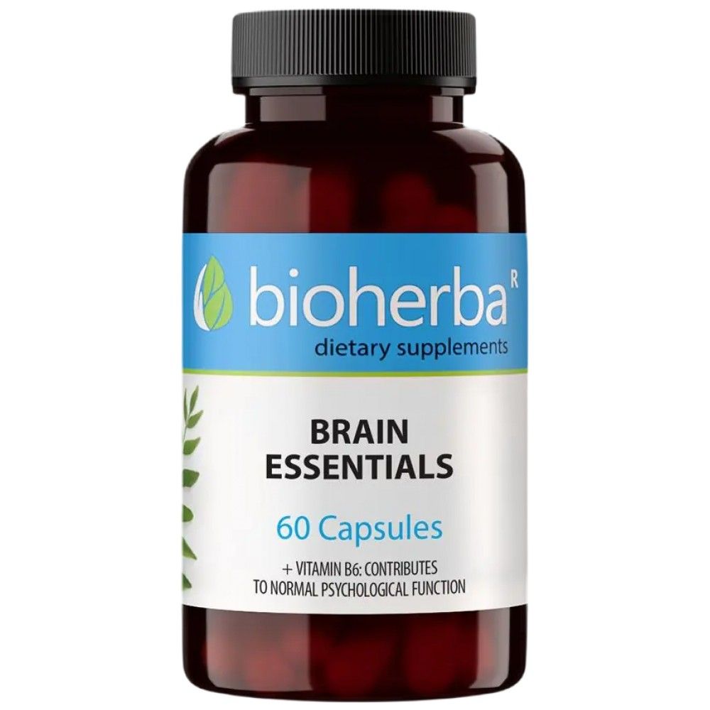 Cerveau élevé - 60 capsules