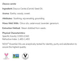 Huile de graines de carotte | 100% pur daucus carota - 30 ml