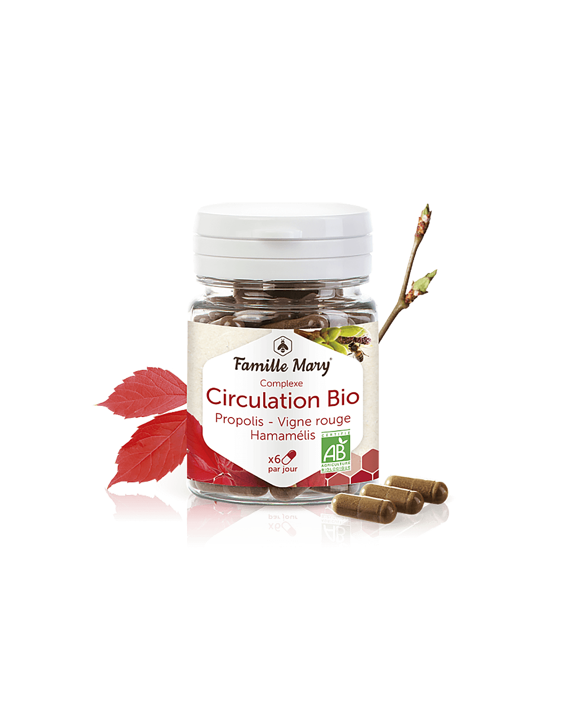 Complexe Circulation Bio - Bio Complex pour améliorer la circulation sanguine dans la congestion veineuse, 60 capsules Famille Mary