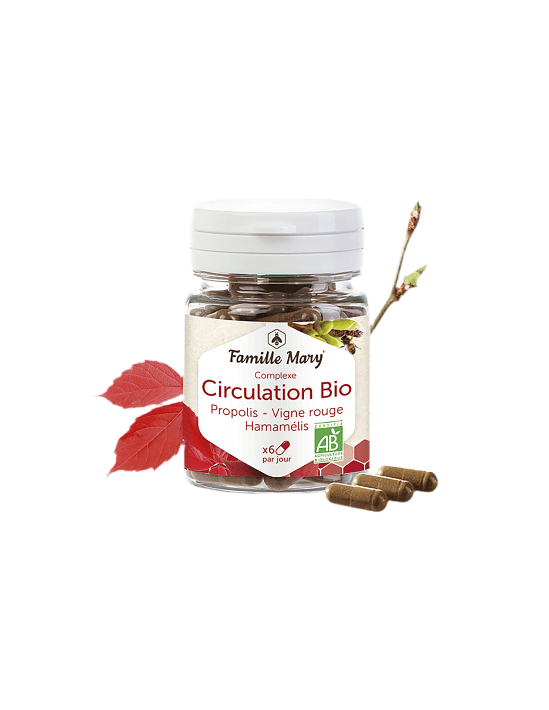 Complexe Circulation Bio - Bio Complex pour améliorer la circulation sanguine dans la congestion veineuse, 60 capsules Famille Mary
