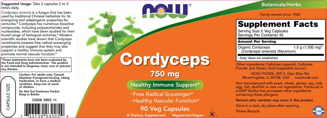 Cordyceps 750 mg - 90 capsules