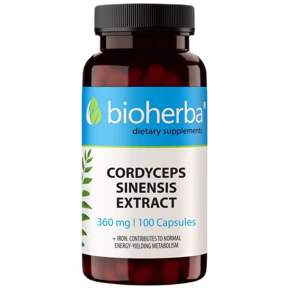 Cordyceps sinensis 360 mg - 100 capsules