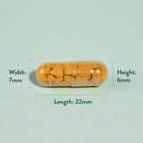 Curcuma haute résistance | Plus Boswellia & Ginger - 90 capsules
