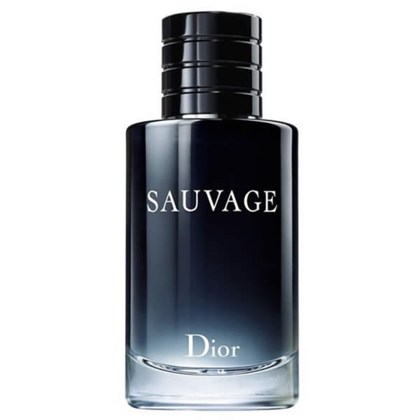 <tc>DIOR</tc> Sauvage Eau De Toilette Vaporisateur 100ml