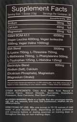EAA JUICE | avec des électrolytes 390 grammes