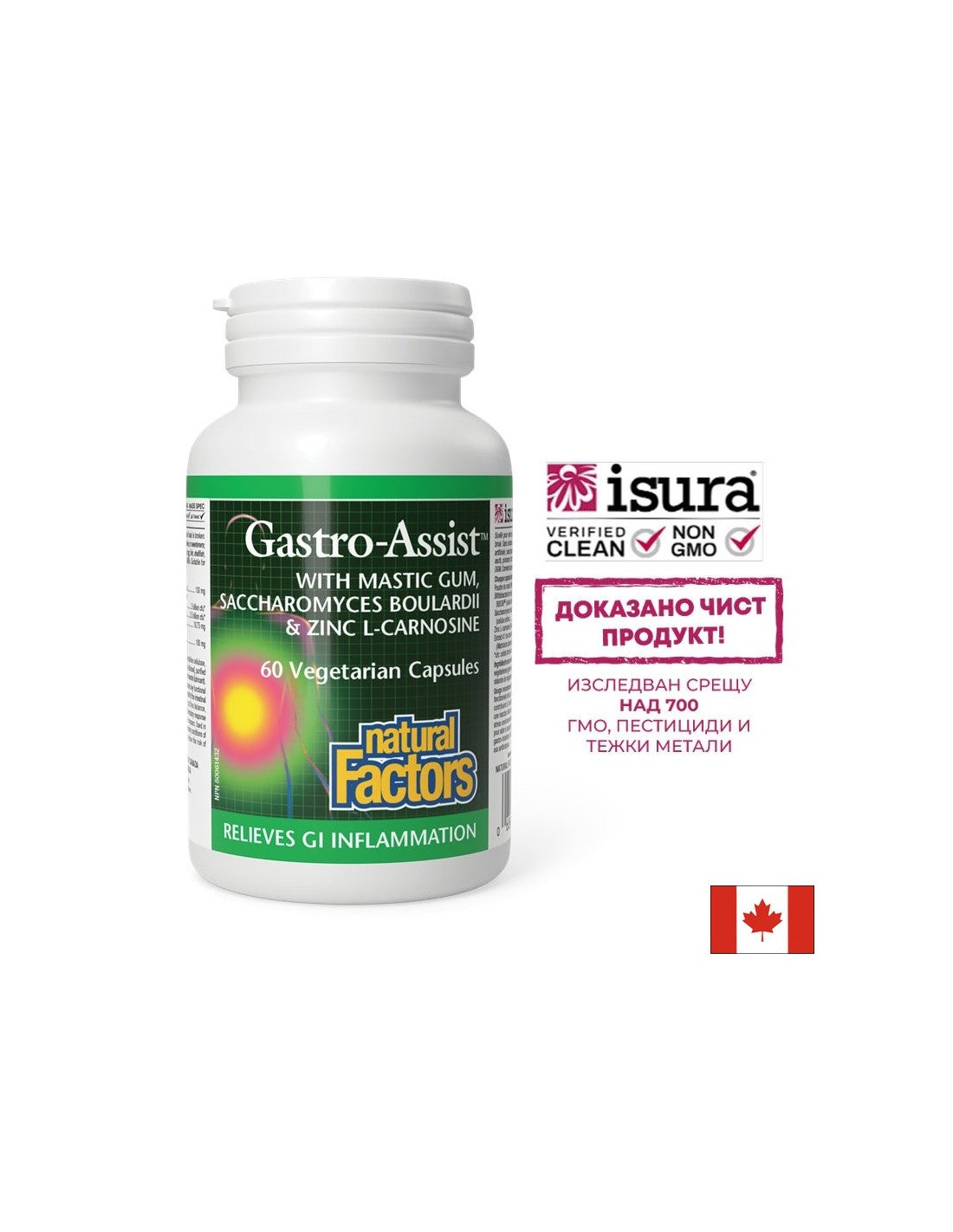 Mastic, carnosine de zinc et camomille pour un estomac calme - Gastro Assist ™, 60 capsules