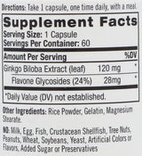 Ginkgo Biloba 120 mg./60 Caps.