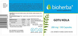 Gottu kola 280 mg - 100 capsules