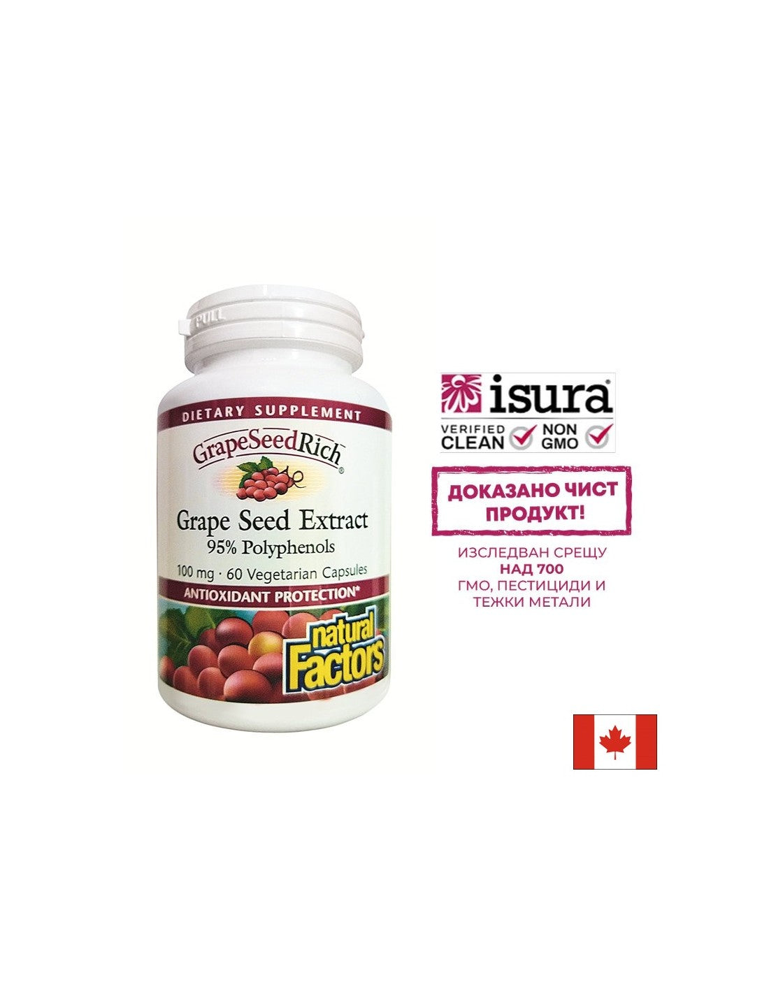 Grapeseedrich | Extrait de graines de raisin 100 mg - 60 capsules