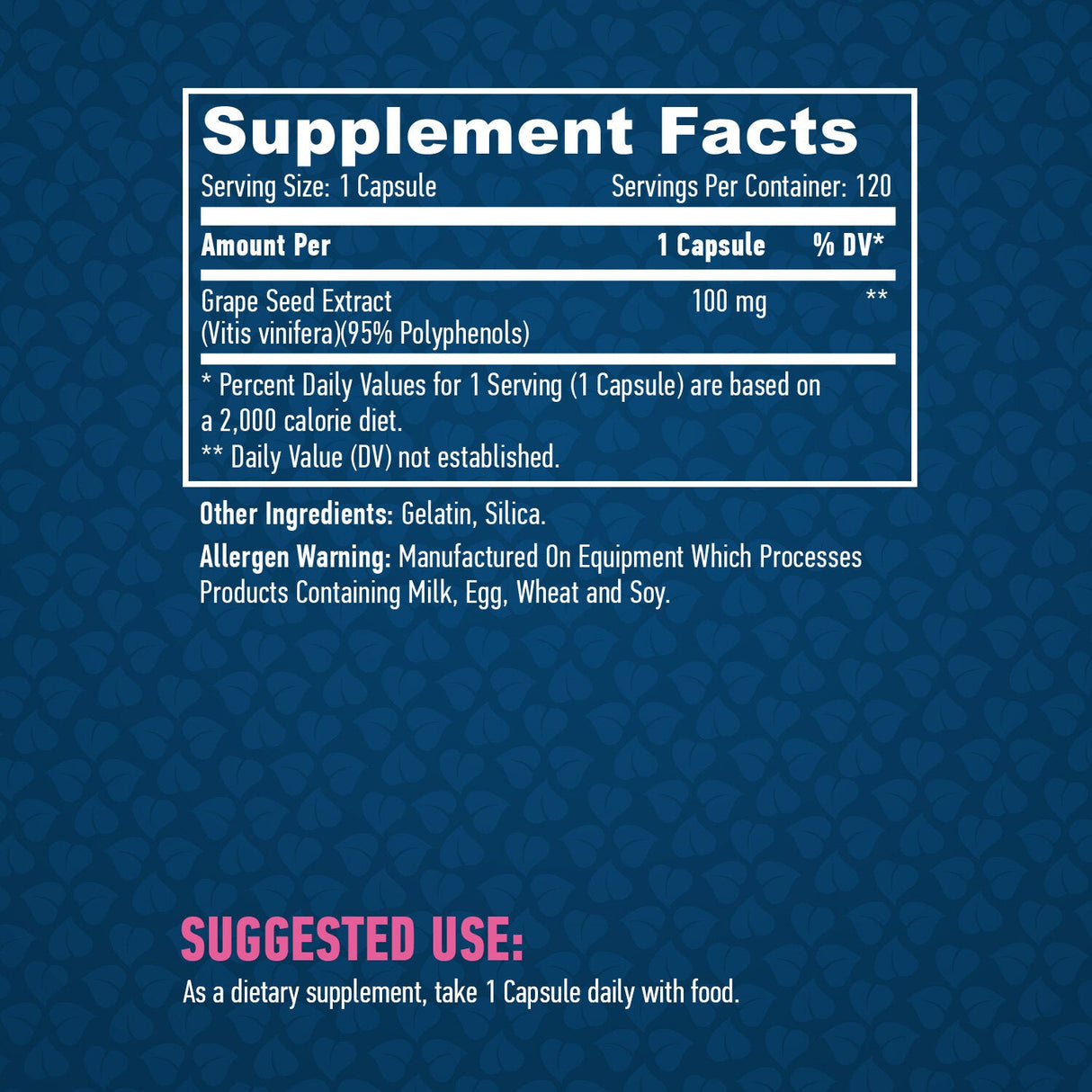 Extrait de raisin 100 mg./120 Caps.