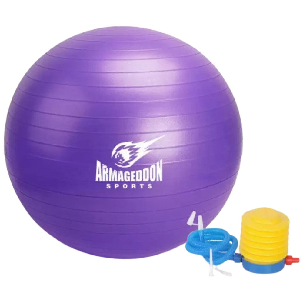 Boule de gymnastique avec une pompe 85 cm/balle de gymnastique avec une pompe 85 cm