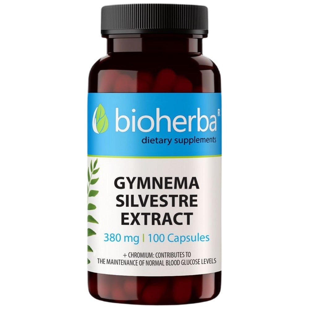 Gymnema Sylvestre extrait 380 mg - 100 capsules