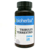 Tribulus terrestris 250 mg - 100 capsules