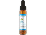 Bach laisse tomber la châtaigne blanche 20 ml