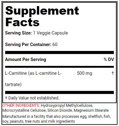 POWER L-CARNITINE - 60 capsules