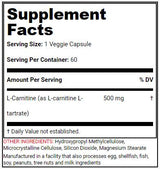 POWER L-CARNITINE - 60 capsules