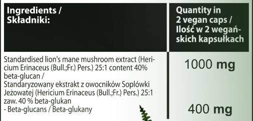 Mane du lion | 40% bêta-gluans - 60 capsules