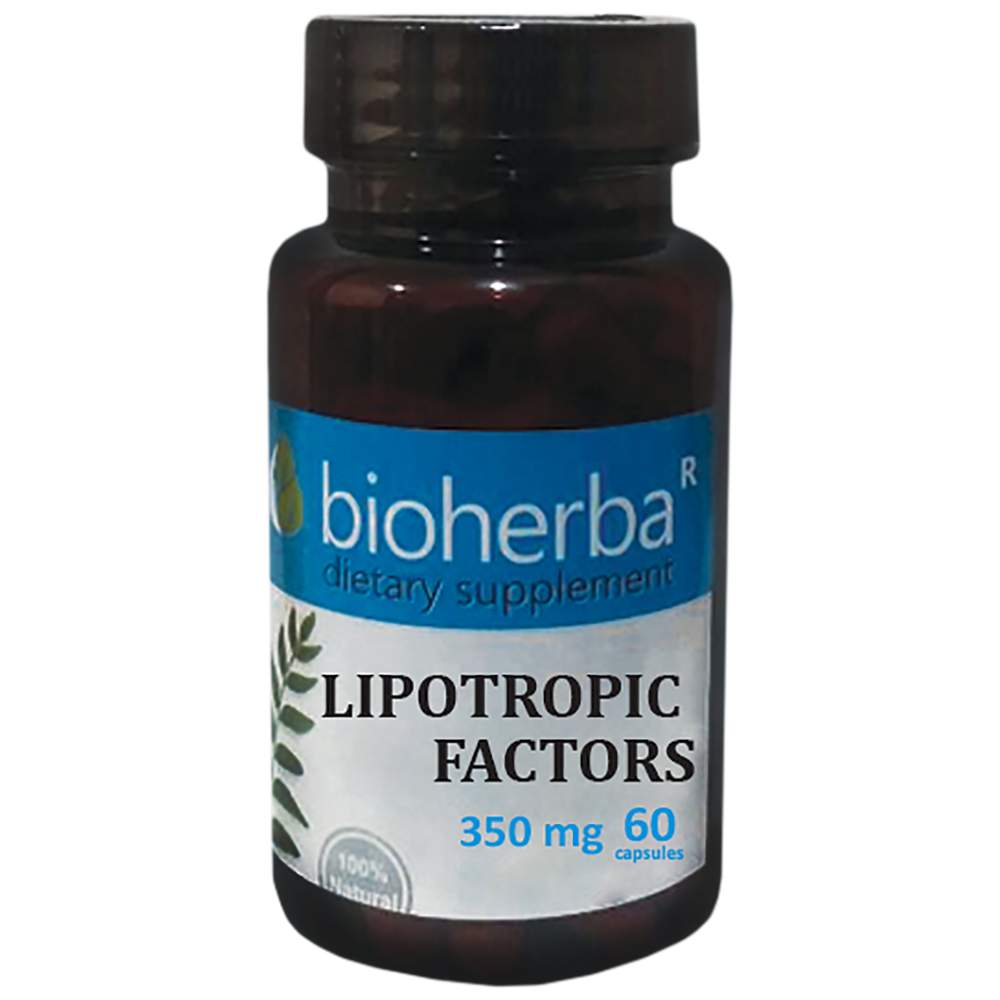Facteurs lipotropes 350 mg - 60 capsules
