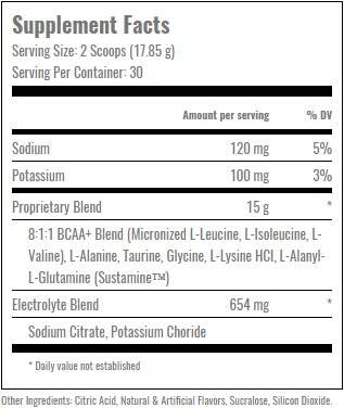 BCAA moderne plus - 535 grammes