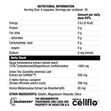 NATTYSTACK | avec Turkesterone - 120 capsules