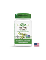 Feuille d'olive 500 mg - 100 capsules