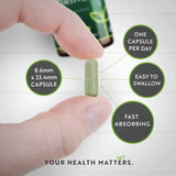 Moringa organique - Bio Moringa 600 mg 120 capsules végétaliennes