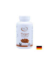 Pangam Nahrungsegänzung Mit Pangamat B15 - Pangam (vitamine B15), 120 capsules el compra