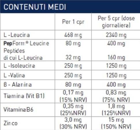 Ramtech - BCAA 2: 1: 1 - 360 comprimés