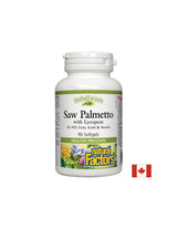 Saw Palmetto avec du lycopène - 90 capsules de gel