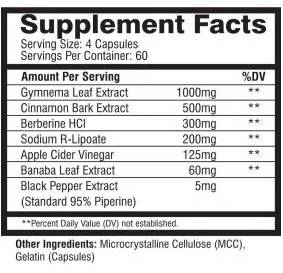 Slin-rx | avec Banaba, Berberine et Gymnemna - 240 capsules