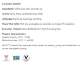 Spike Lavender | 100% pur lavandula latifolia - 30 ml