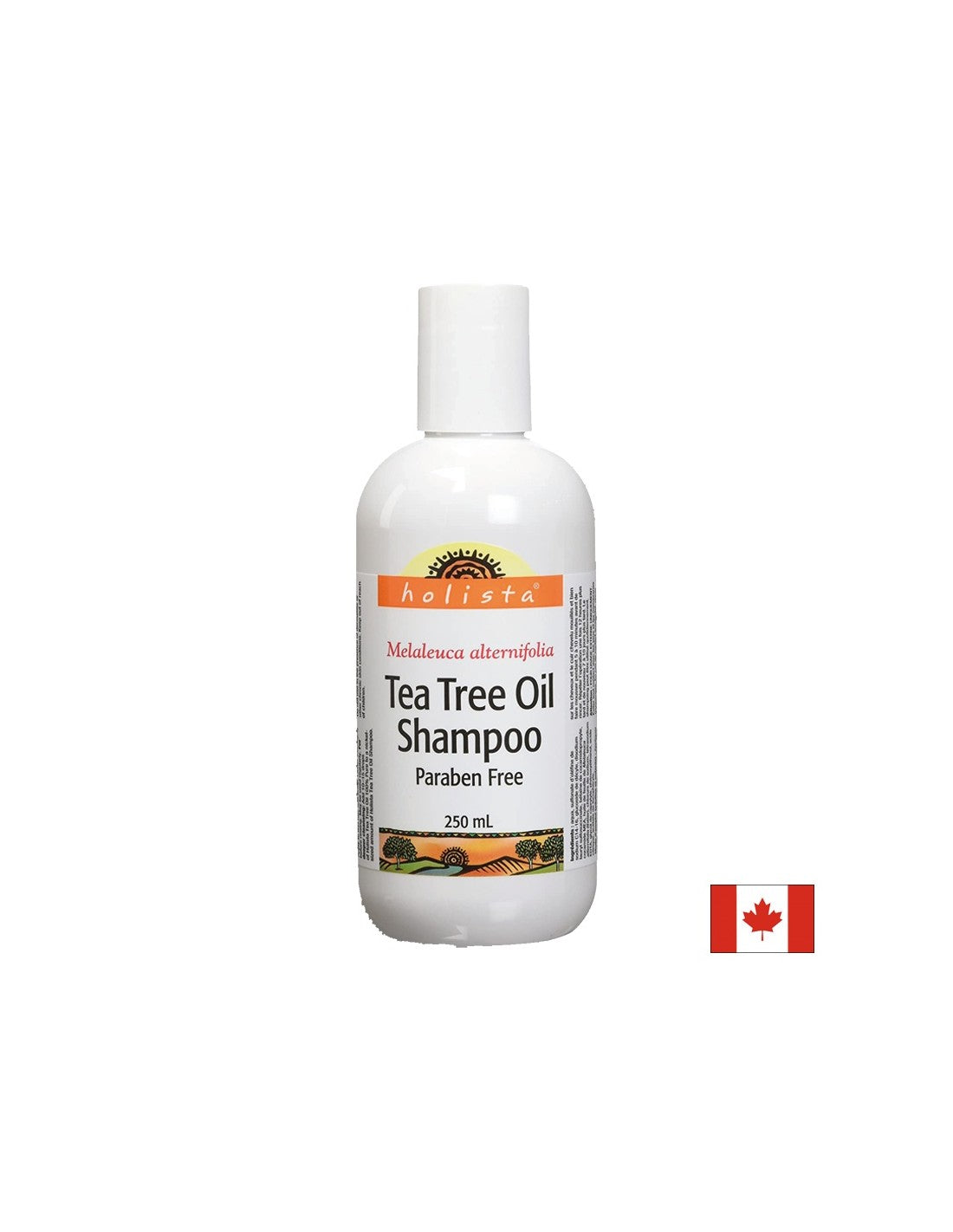 Shampooing/shampooing à l'huile de thé avec huile d'arbre à thé x 250 ml