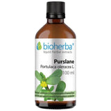 Teinture Portulaca oleracea (Purslane) - 100 ml