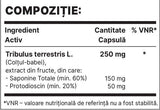 Tribul 250mg | Tribulus terrestris Extrait - 60 capsules