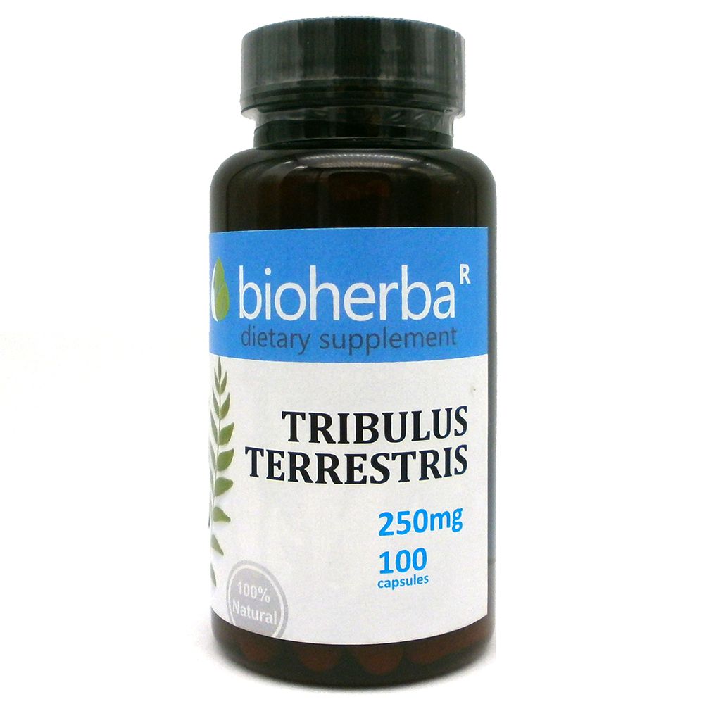 Tribulus terrestris 250 mg - 100 capsules