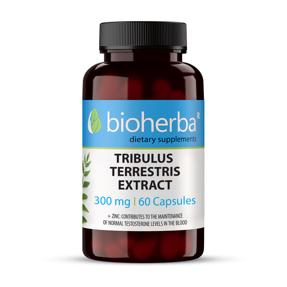 Tribulus terrestris extrait 300 mg - 60 capsules