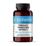 Tribulus terrestris extrait 300 mg - 60 capsules