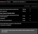 Turkesterone 1200 | avec bêta-ecdysterone et astragin - 120 capsules