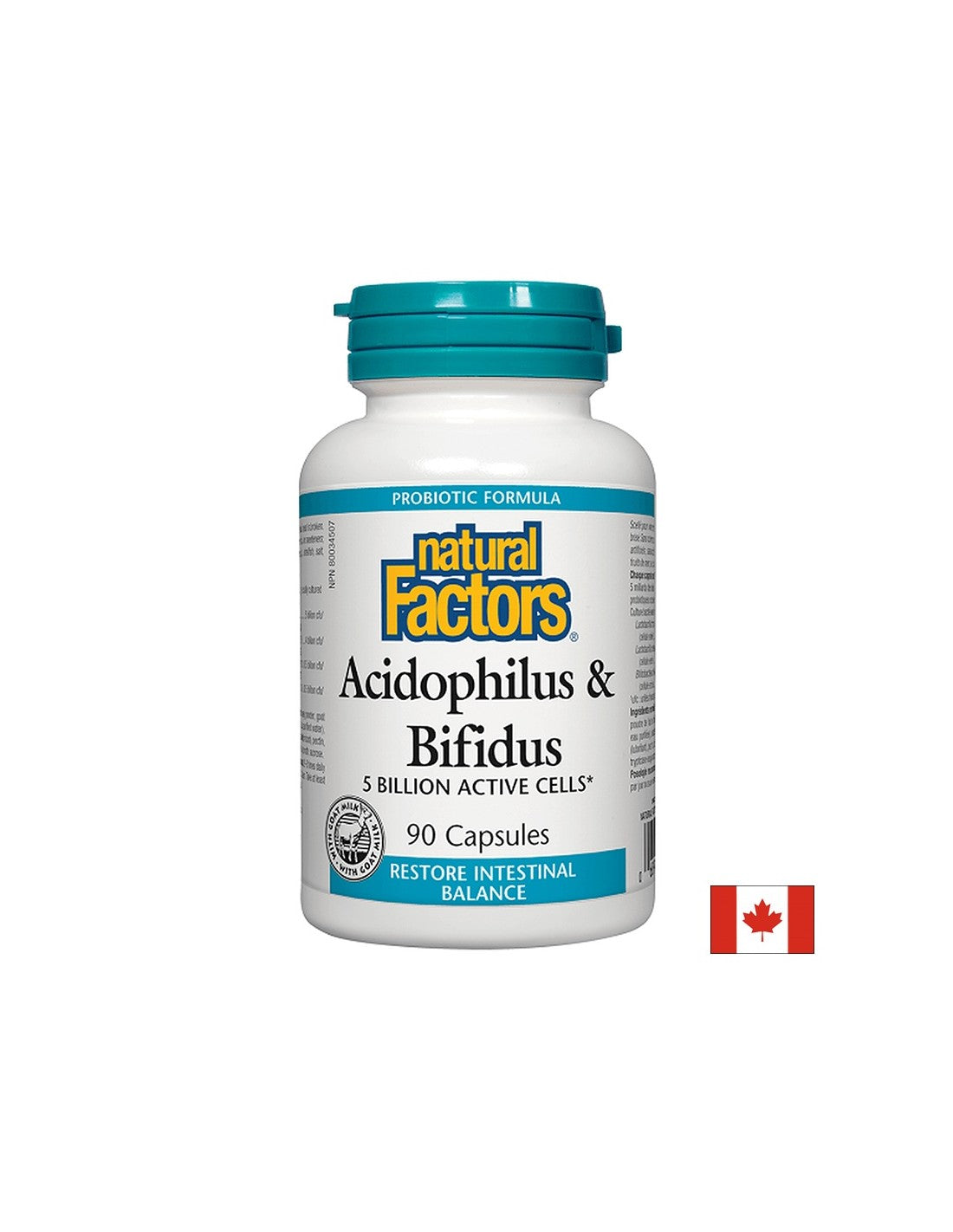 Acidophilus et bifidus | 5 milliards de cellules actives - 90 capsules