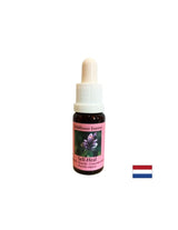 Active le courage et l'auto-guérison - Essence Prishnitsa n ° 25, tombe 15 ml