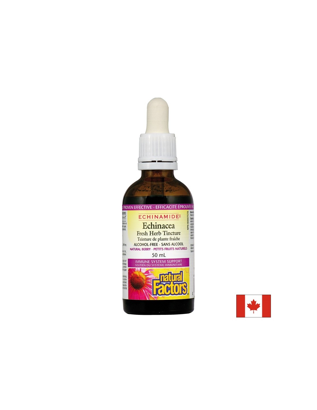 Échinacée de la teinture d'herbes fraîches 1000 mg - 50 ml
