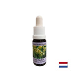 Équilibre l'ego - Essence Sunny Orchid No. 18, laisse tomber 15 ml