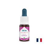 Équilibrage des émotions chez les enfants, les essences florales, la méthode bach baisse n ° 11, 15 ml
