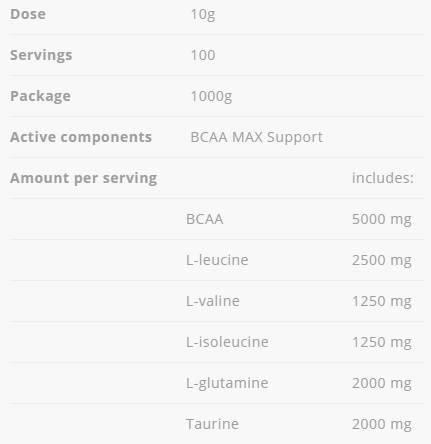 Support BCAA Max - 1000 grammes