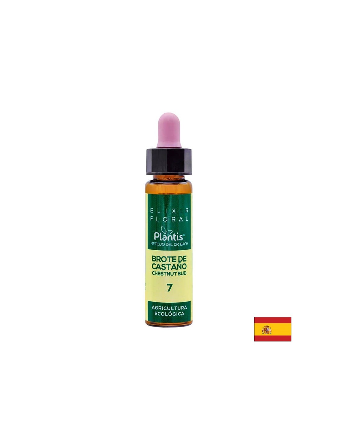 Brote de castaño (Châtaigne mais) Elixir Floral 7 - Élixir de fleur de bourgeon de châtaignier, 10 ml Arte<tc>san</tc>je
