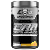POUDRE EAA | Aromatisé - 405 grammes