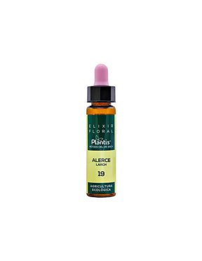 Larch flower elixir for problems in personal life - Drops according to the method of Dr. Bach, 10 ml Artesania - Nutra Best Europe