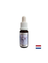 Donne une force à surmonter les difficultés - Michael Essence (Angel Essence n ° 17), tombe 15 ml