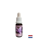 Donne confiance - Gentian Essence n ° 12, tombe 15 ml