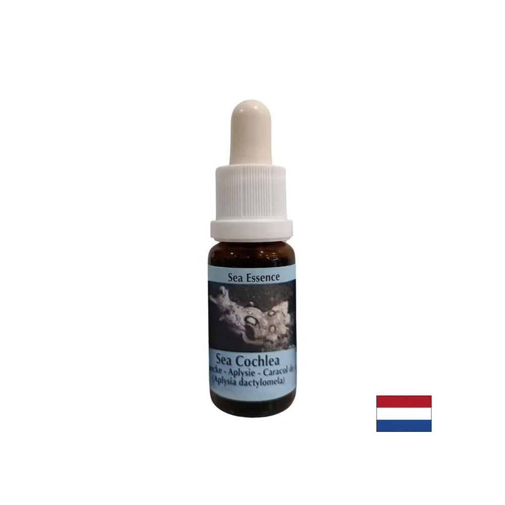 Donne une force intérieure dans des situations instables - Essence d'escargot de mer n ° 8, tombe 15 ml